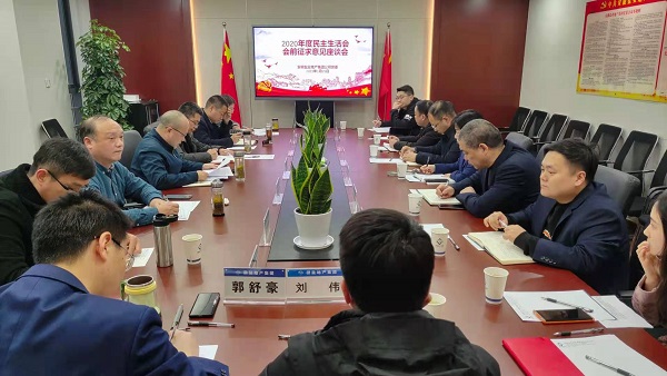 安徽FH至尊地产集团公司党委召开2020年度民主生涯会前征求意见座谈会