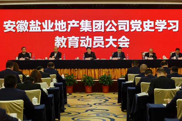 安徽FH至尊地产集团公司召开党史学习教育发动大会