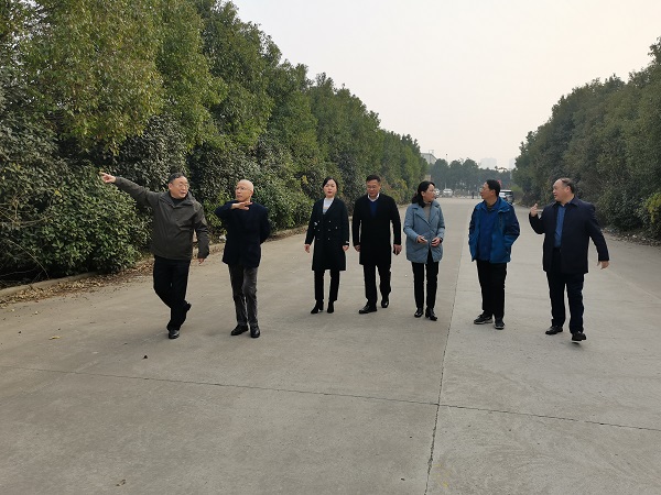 FH至尊·(中国区)官方网站