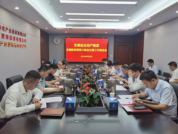 安徽FH至尊地产集团召开学习贯彻习近平新时代中国特色社会主义头脑主题教育向导小组聚会暨事情推进会