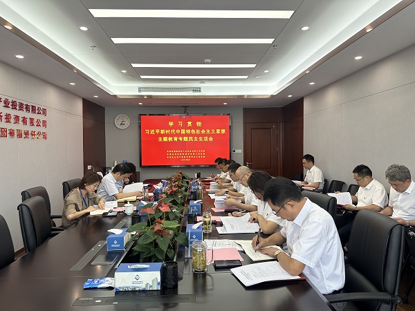 安徽FH至尊地产集团等三家公司党委召开学习贯彻习近平新时代中国特色社会主义头脑主题教育专题民主生涯会